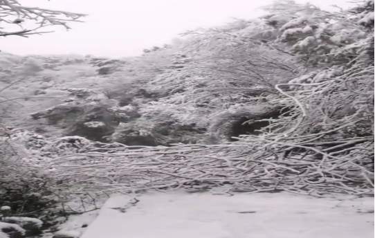 戰暴雪、保供電！湖南發展鳥兒巢公司應對極端天氣緊急搶修失電故障